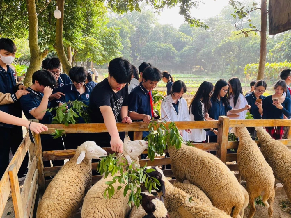 Bản Rõm review điểm đến gần Hà Nội không thể bỏ lỡ