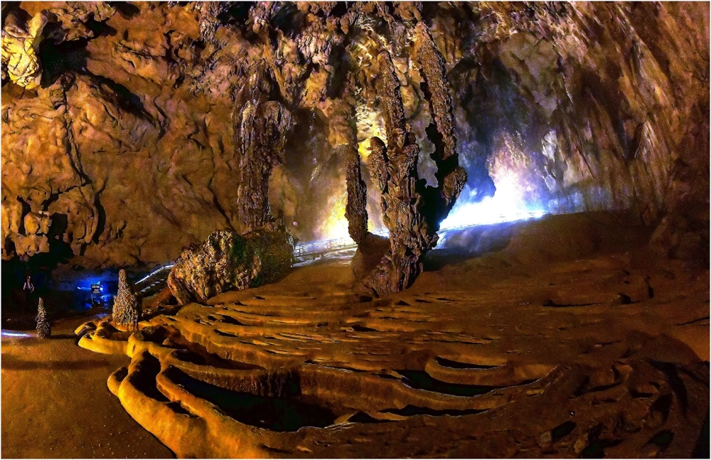 Cùng chiêm ngưỡng động ngườm ngao giá vé phải chăng cho mọi du khách