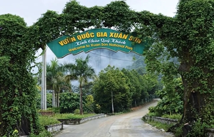 Hành trình xanh về Vườn quốc gia Xuân Sơn đầy mê hoặc