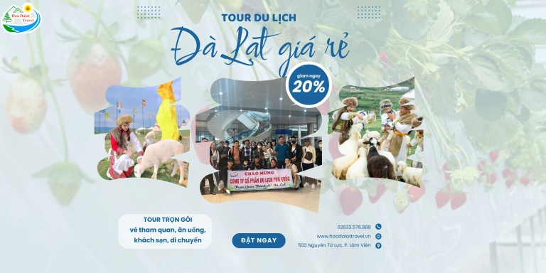 Khám phá 55+ địa điểm du lịch Đà Lạt hấp dẫn nhất cho hành trình 2026