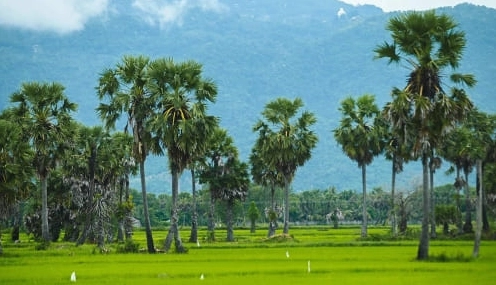 Khám phá An Giang 6 địa điểm du lịch không thể bỏ lỡ