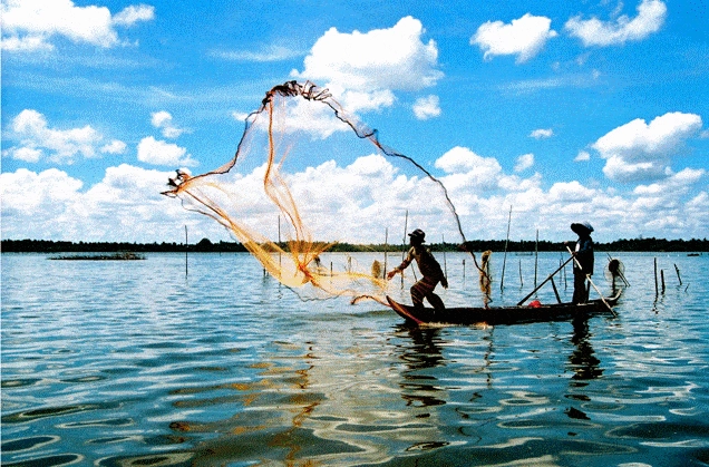 Khám phá Cà Mau: Top 15 địa điểm du lịch không thể bỏ lỡ
