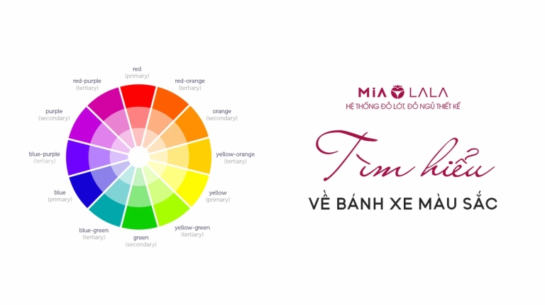 Khám phá vòng tròn màu sắc: Bí quyết phối đồ thời trang ấn tượng