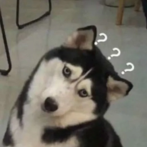 Không meme bùng nổ hài hước qua bộ sưu tập ảnh nghệ thuật