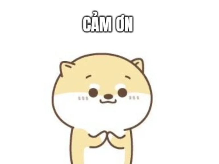Meme cảm ơn bùng nổ cảm xúc qua bộ ảnh nghệ thuật mới
