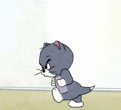 Meme mèo Tom bùng nổ hài hước qua bộ ảnh nghệ thuật mới