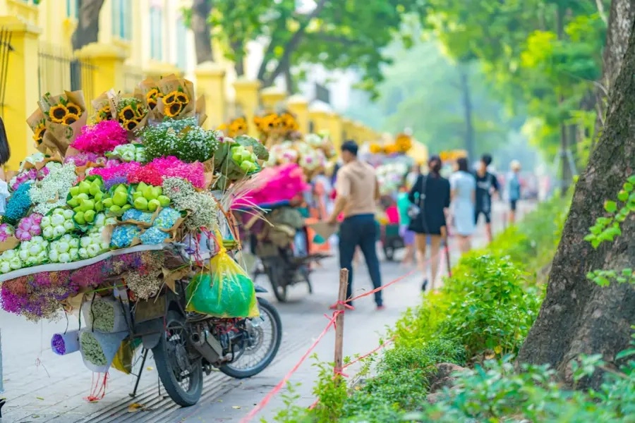 Phố phan đình phùng sau bão vẫn giữ nguyên vẻ dịu dàngPhố phan đình phùng sau bão vẫn giữ nguyên vẻ dịu dàng