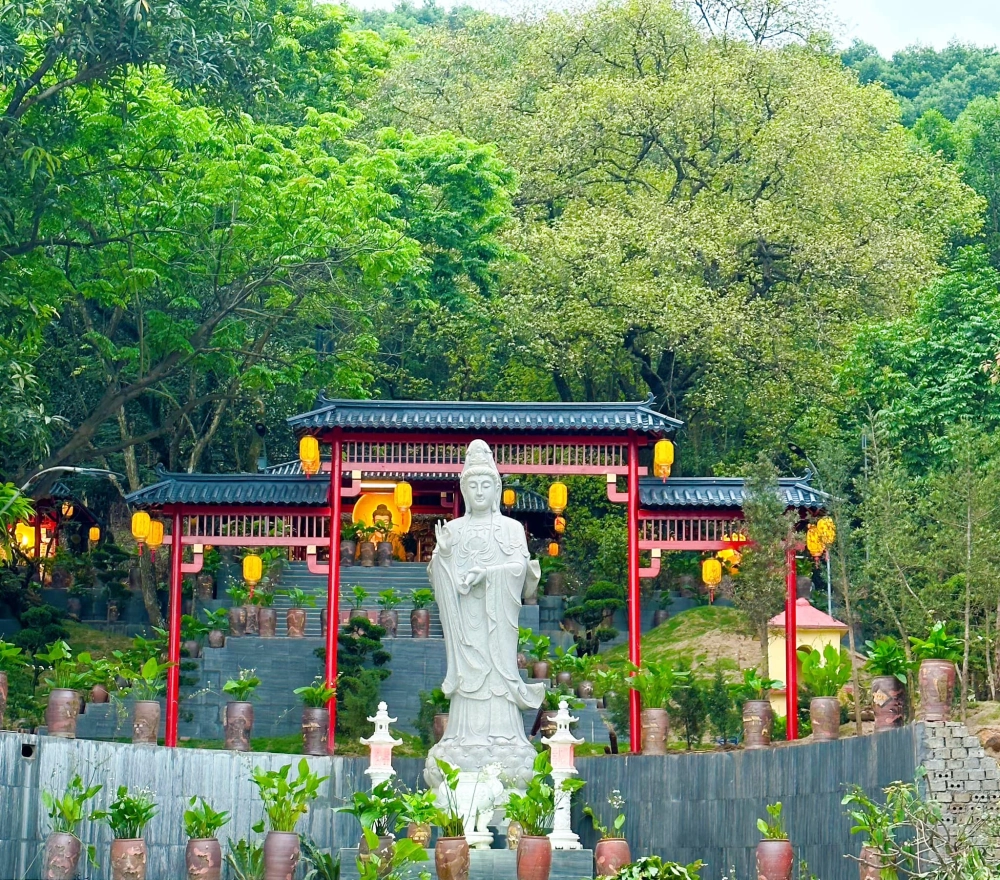 Thông tin về chùa cây thị hà nam có mất vé không