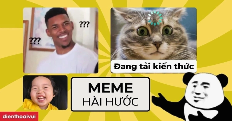 Tổng hợp Avatar Meme Mèo Bựa Hài Hước Độc Lạ Nhất Năm 2026