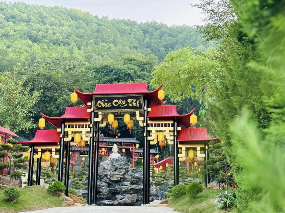 Trải nghiệm tour chùa cây thị đầy ý nghĩa