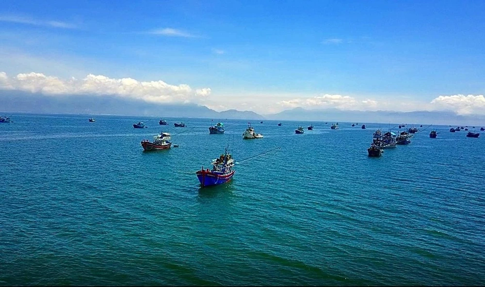 Từ cách đi hòn cau côn đảo dễ dàng và nhanh chóng