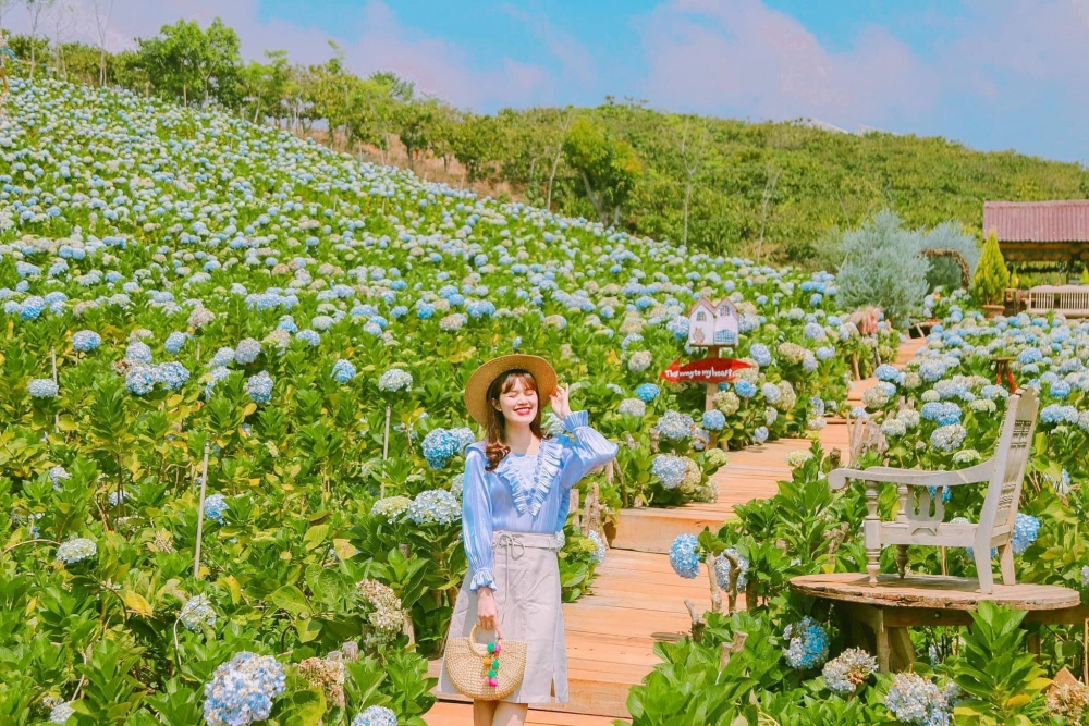 Vé vào vườn hoa đà lạt rất dễ mua tại cổng chínhVé vào vườn hoa đà lạt rất dễ mua tại cổng chính