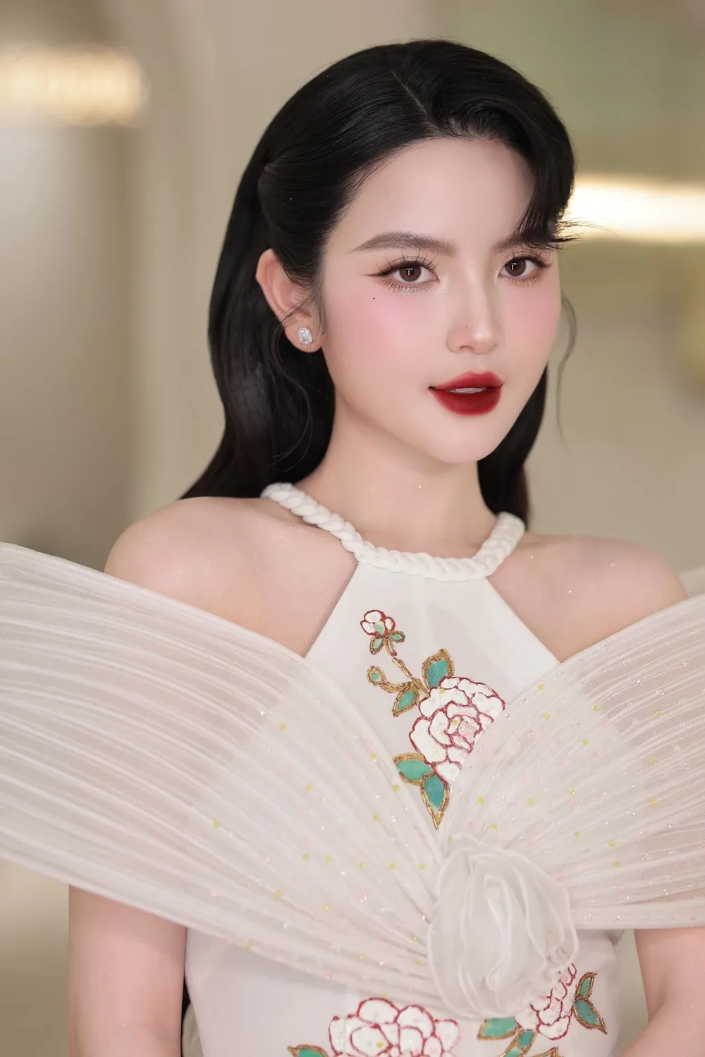 Tìm hiểu trình độ Chu Thanh Huyền học vấn
