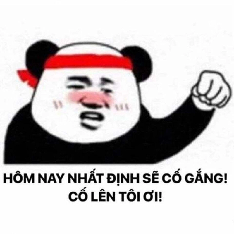Anh ơi cố lên là lời động viên ngọt ngào giúp bạn vượt qua mọi khó khăn