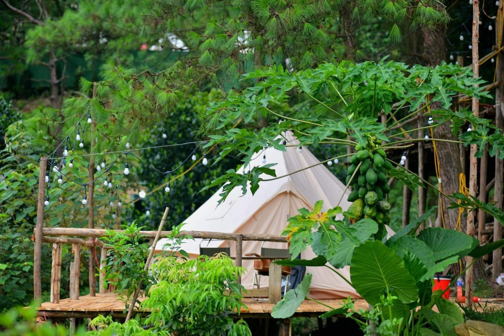 Chỉ đường dễ hiểu đến đường đi hồ đồng đò