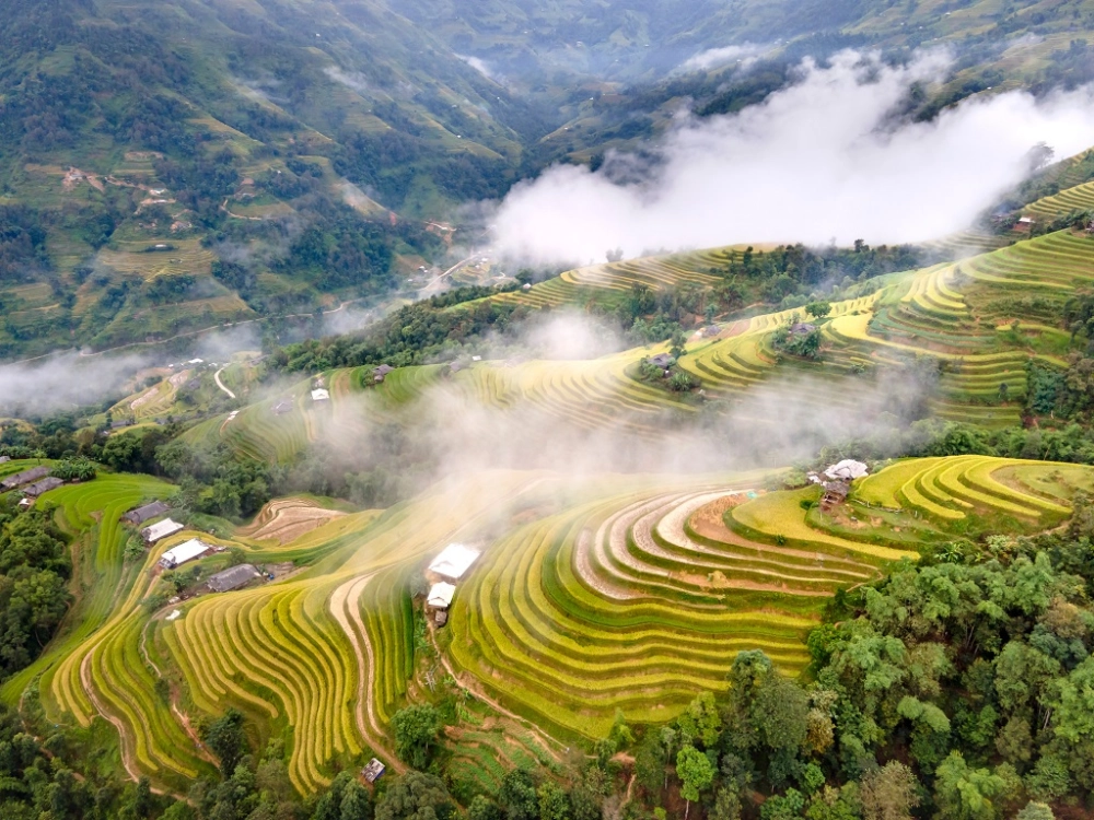 Khám phá giới thiệu đôi nét về Hoàng Su Phì độc đáo