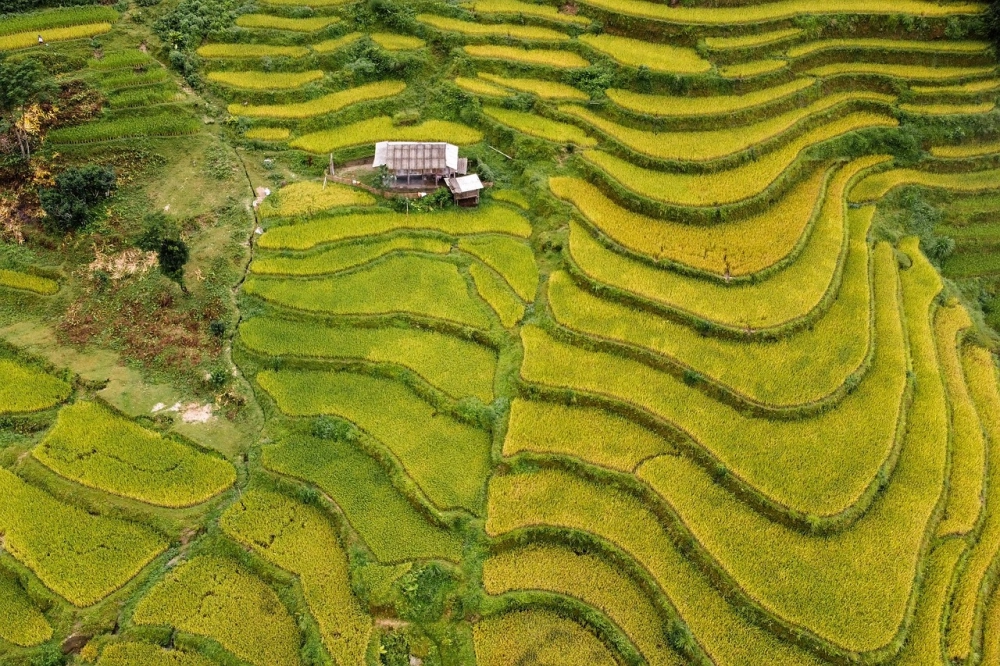 Cập nhật đường đi Hoàng Su Phì mới nhất