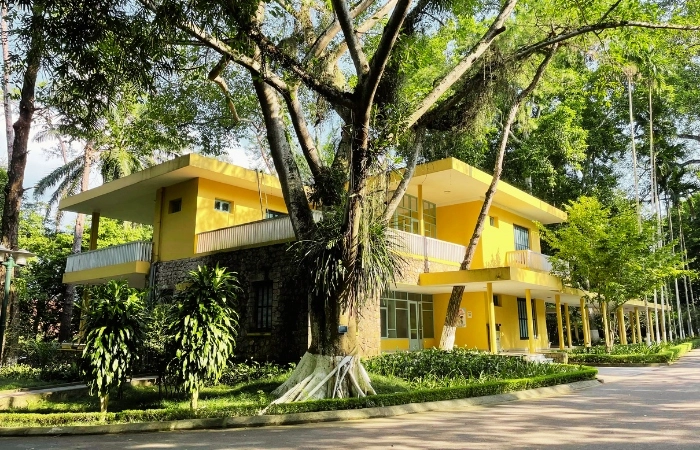 Vẻ đẹp huyền bí tại K9 đá chuông