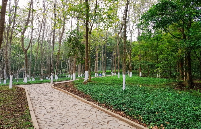 Khám phá K9 Hà Tây với vẻ đẹp thiên nhiên