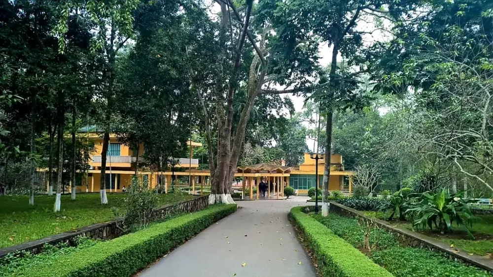 Tham quan và khám phá tham quan K9