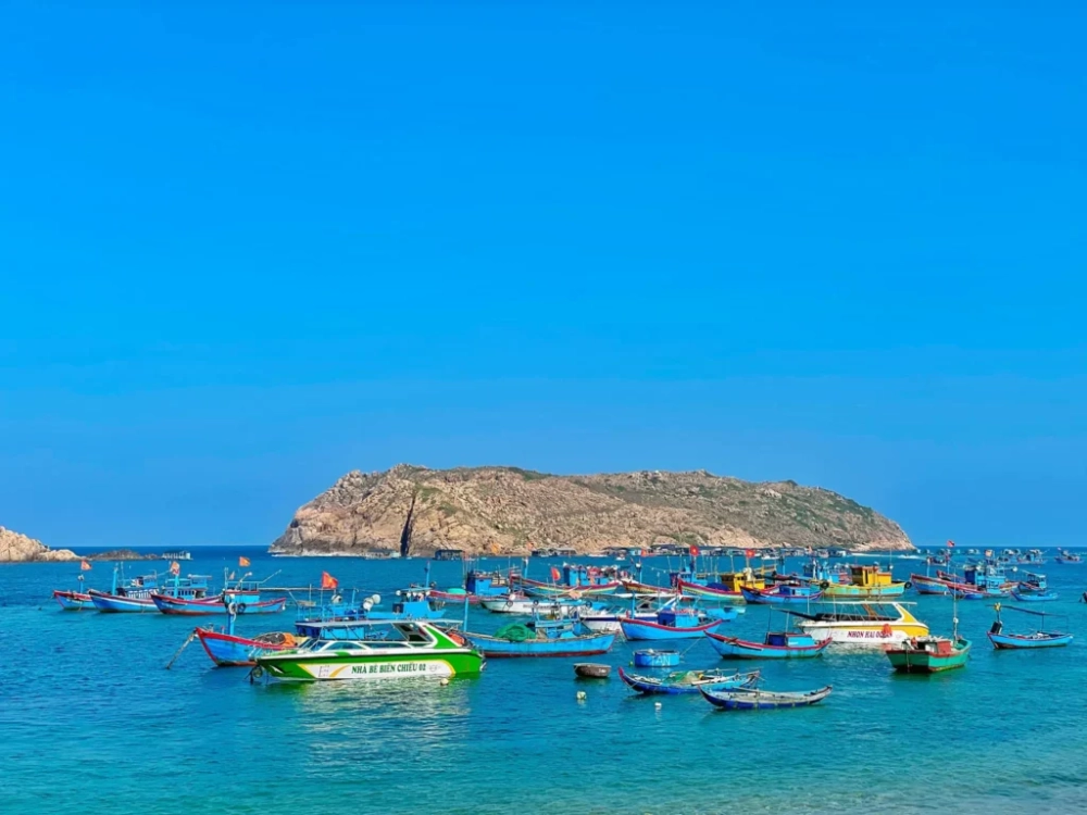 Tham gia hòn khô quy nhơn để khám phá vẻ đẹp thiên nhiên