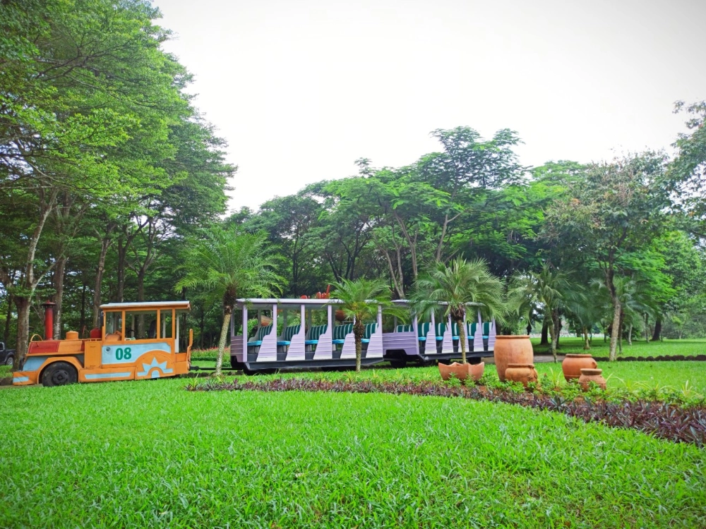 Tham quan thác giang điền ở đồng nai nổi tiếng