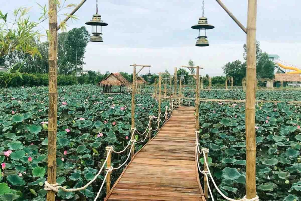 Cập nhật khu di tích xẻo quýt giá vé 2023 mới nhất