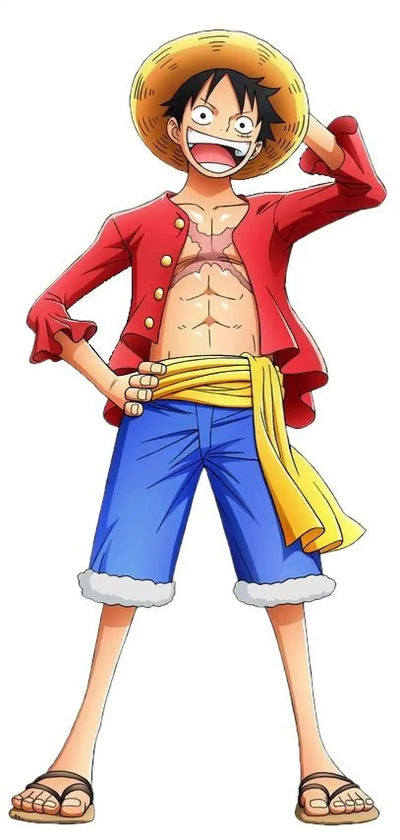 Hướng dẫn draw Luffy cho người mới bắt đầu