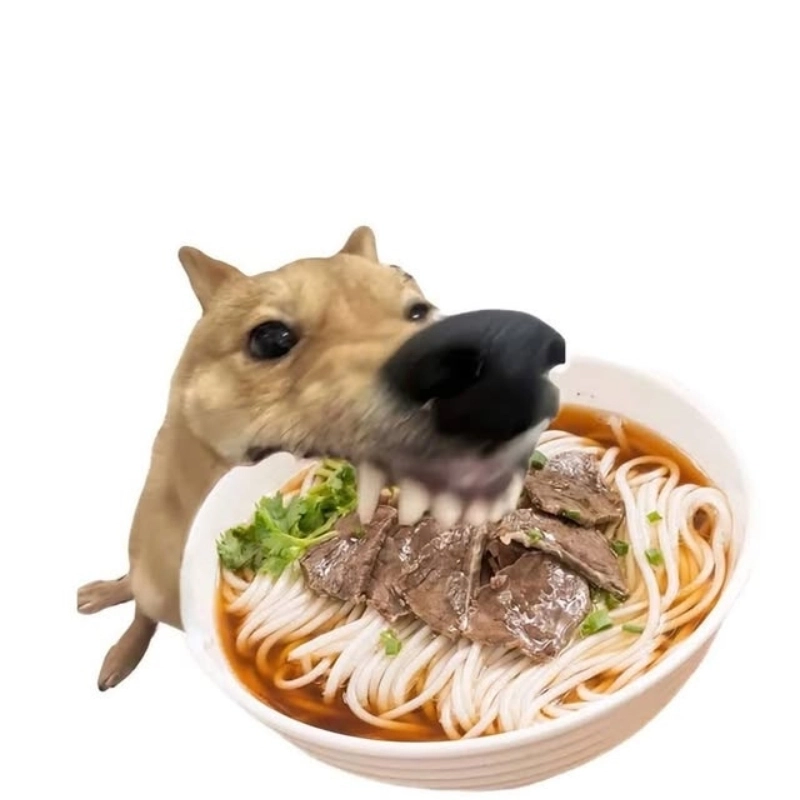 Xem meme chó ăn thịt kho tàu là thấy bụng đói réo lên vì cười