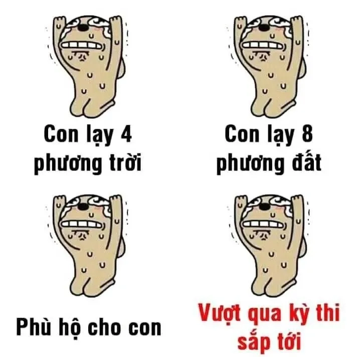 Meme lạy luôn mang lại sự sâu lắng và ý nghĩa trong những tình huống đầy cảm xúc