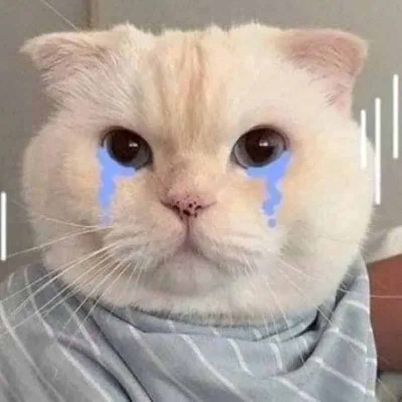 Xem là thương meo khoc meme mèo bựa ngộ nghĩnh buồn cười