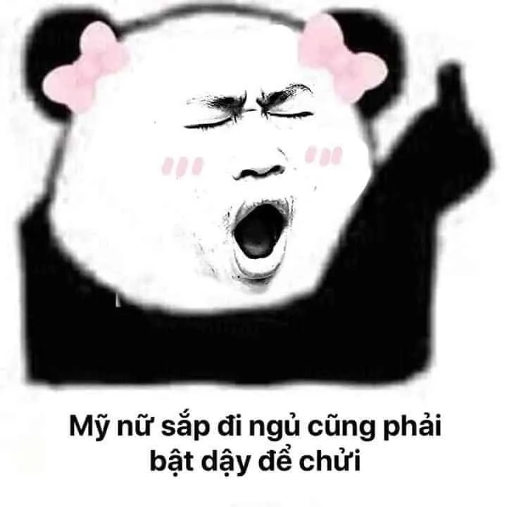 Meme ngủ đi hài hước khiến ai cũng phải cười trước khi đi ngủ