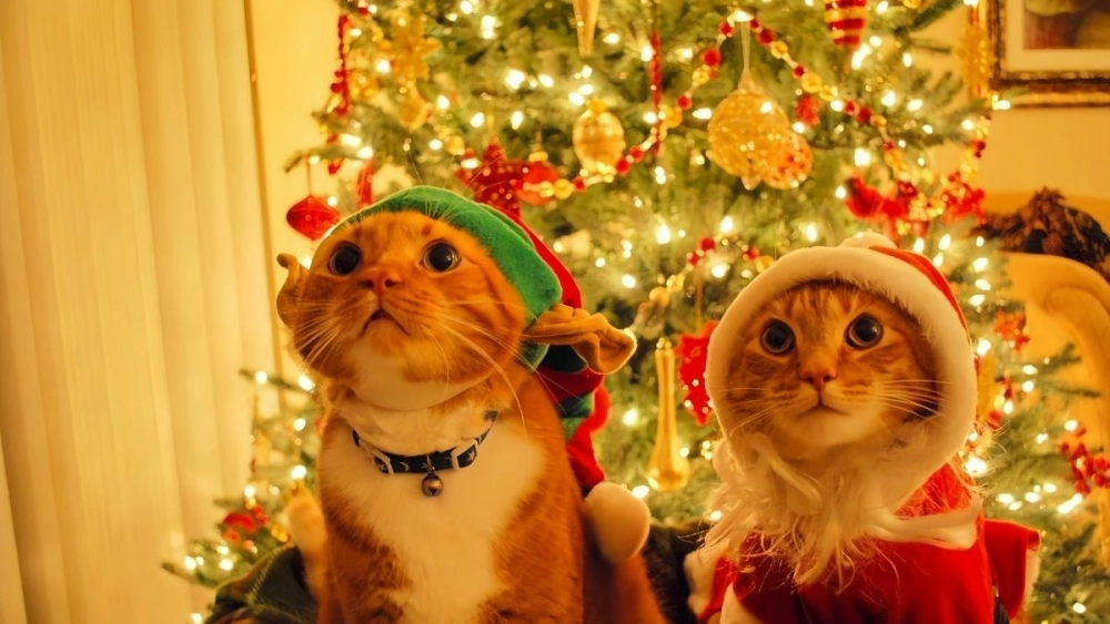 Avt meme Noel độc lạ chuẩn phong cách cuối năm