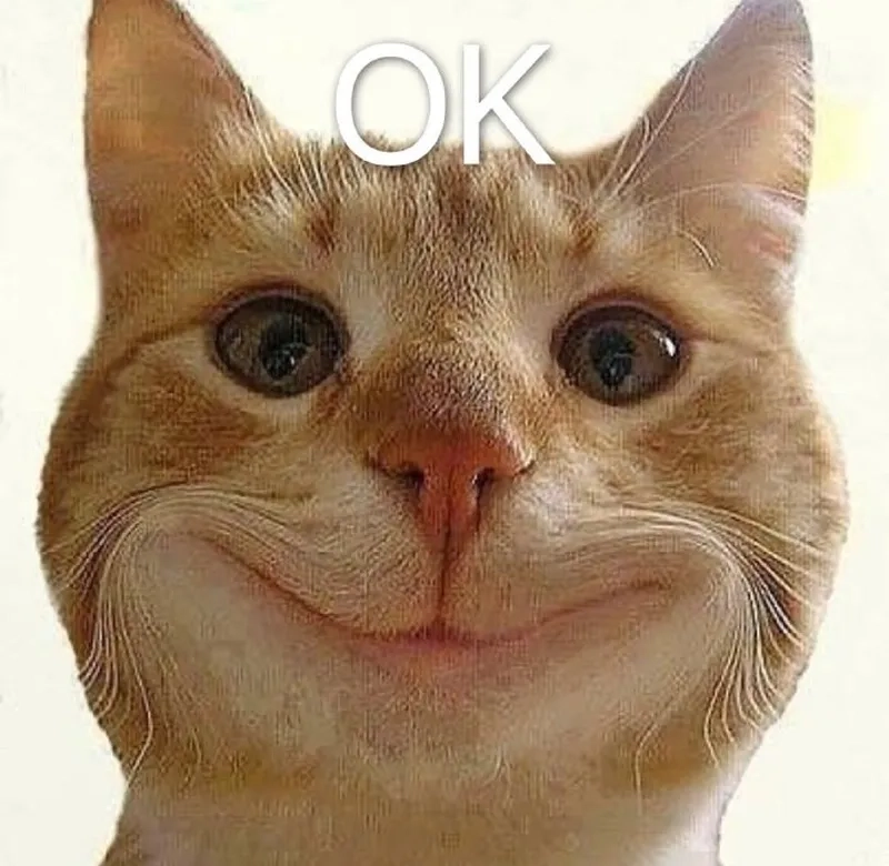 Meme ok saitama biểu cảm lạnh lùng và thờ ơ