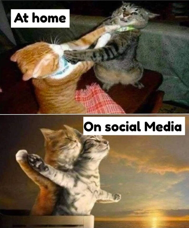 Tổng hợp ôm meme cute đáng yêu, thích hợp làm sticker hoặc avatar