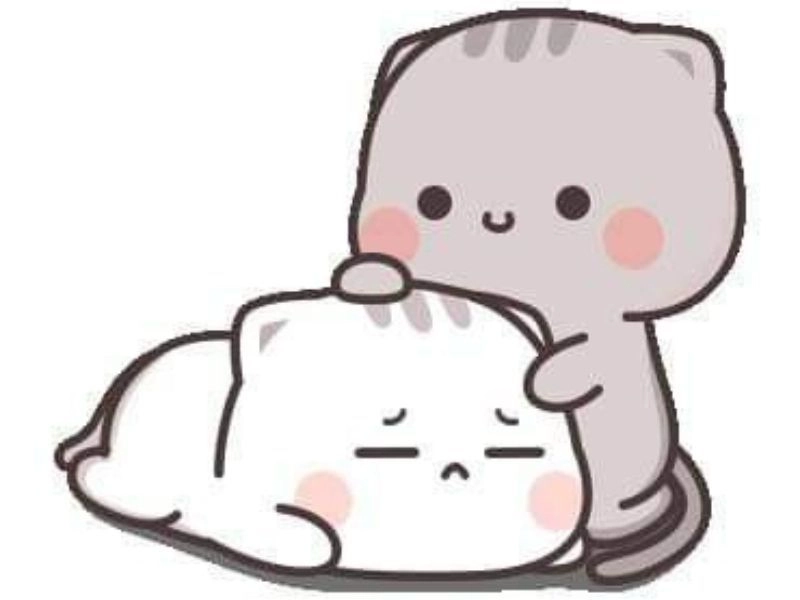 Gây sốt với meme 2 con mèo ôm nhau – đáng yêu level max