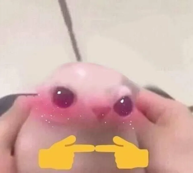 Cảm giác meme ngại ngùng khiến bạn muốn chui vào lỗ