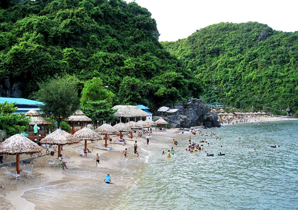 Tìm hiểu đảo Cát Bà cách đất liền bao nhiêu km và cách di chuyển đến đó