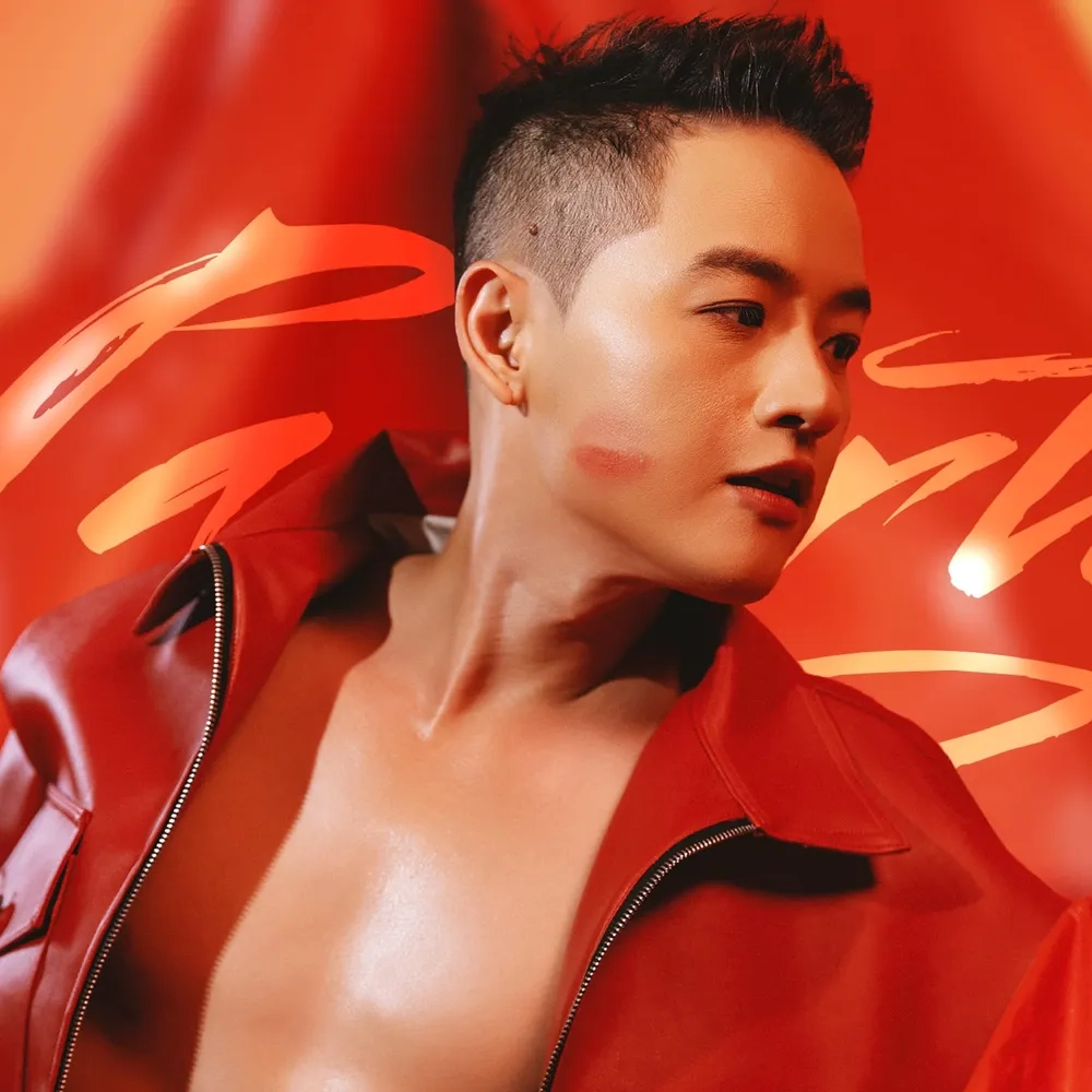 Sự nghiệp và đời tư trong Thanh Duy idol tiểu sử