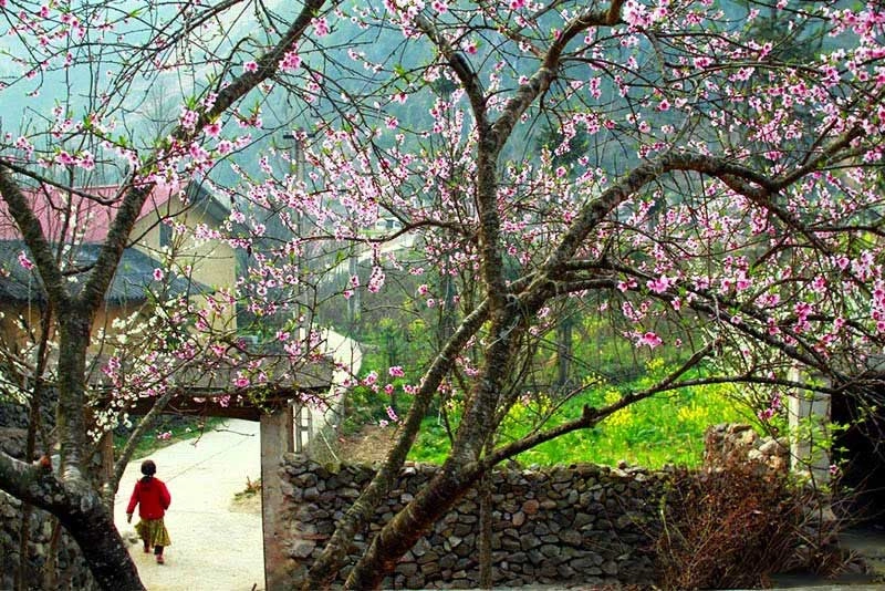 Ngắm nhìn Thị trấn Phó Bảng có gì đẹp hút hồn