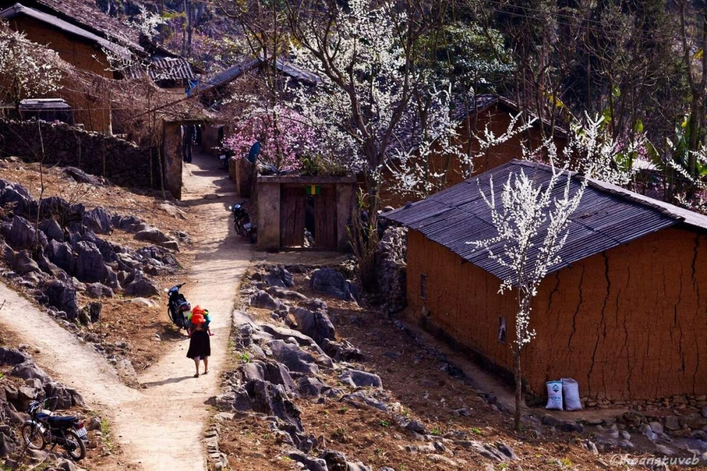 Tìm hiểu thị trấn Phó Bảng huyện Đồng Văn tỉnh Hà Giang cổ kính