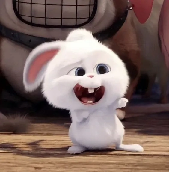 Thỏ Snowball đồ chơi lý tưởng làm quà tặng cực dễ thương