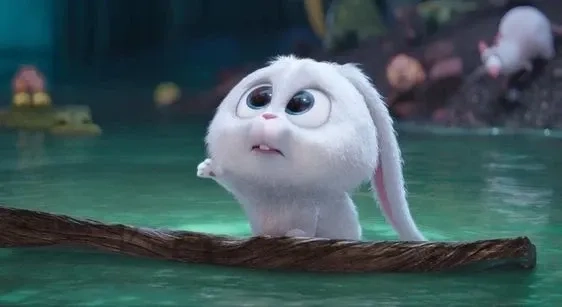 Gấu Thỏ Snowball chính hãng an toàn cho trẻ, bền đẹp cực chill