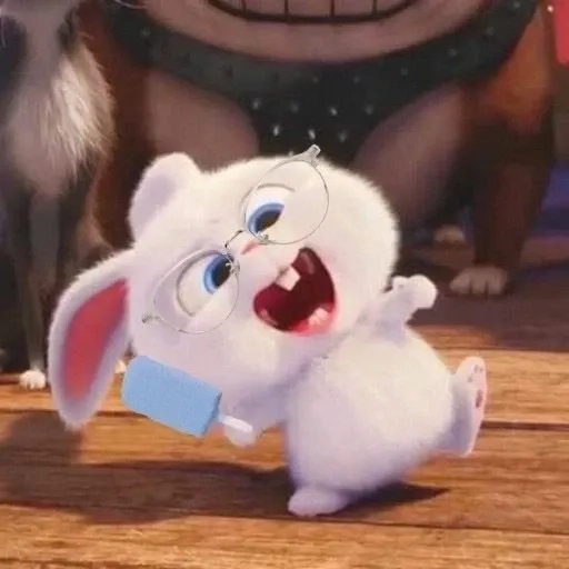 Thỏ Snowball fictus khiến dân mạng phát cuồng vì độ hài hước