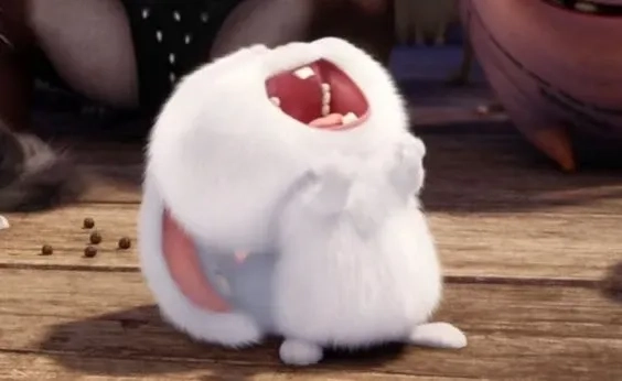Hình nền Thỏ Snowball sinh động, tô điểm màn hình cực chất