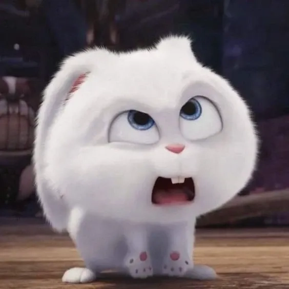 Thỏ Snowball tập tạ meme siêu hài cho hội gymer chính hiệu