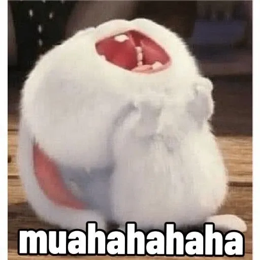 Thỏ Snowball tức giận gấu bông khiến ai cũng cười nghiêng ngả