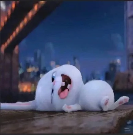 Thỏ Snowball khóc bày tỏ cảm xúc chân thật và đáng yêu