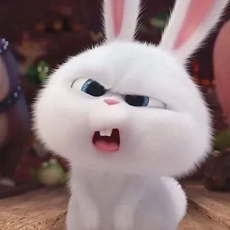 Thỏ Snowball meme gây bão với biểu cảm bá đạo cực ngầu
