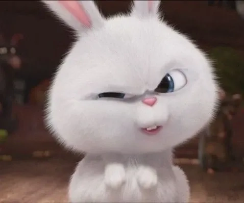 Thỏ Snowball avatar siêu dễ thương, chất cho mọi khung chat